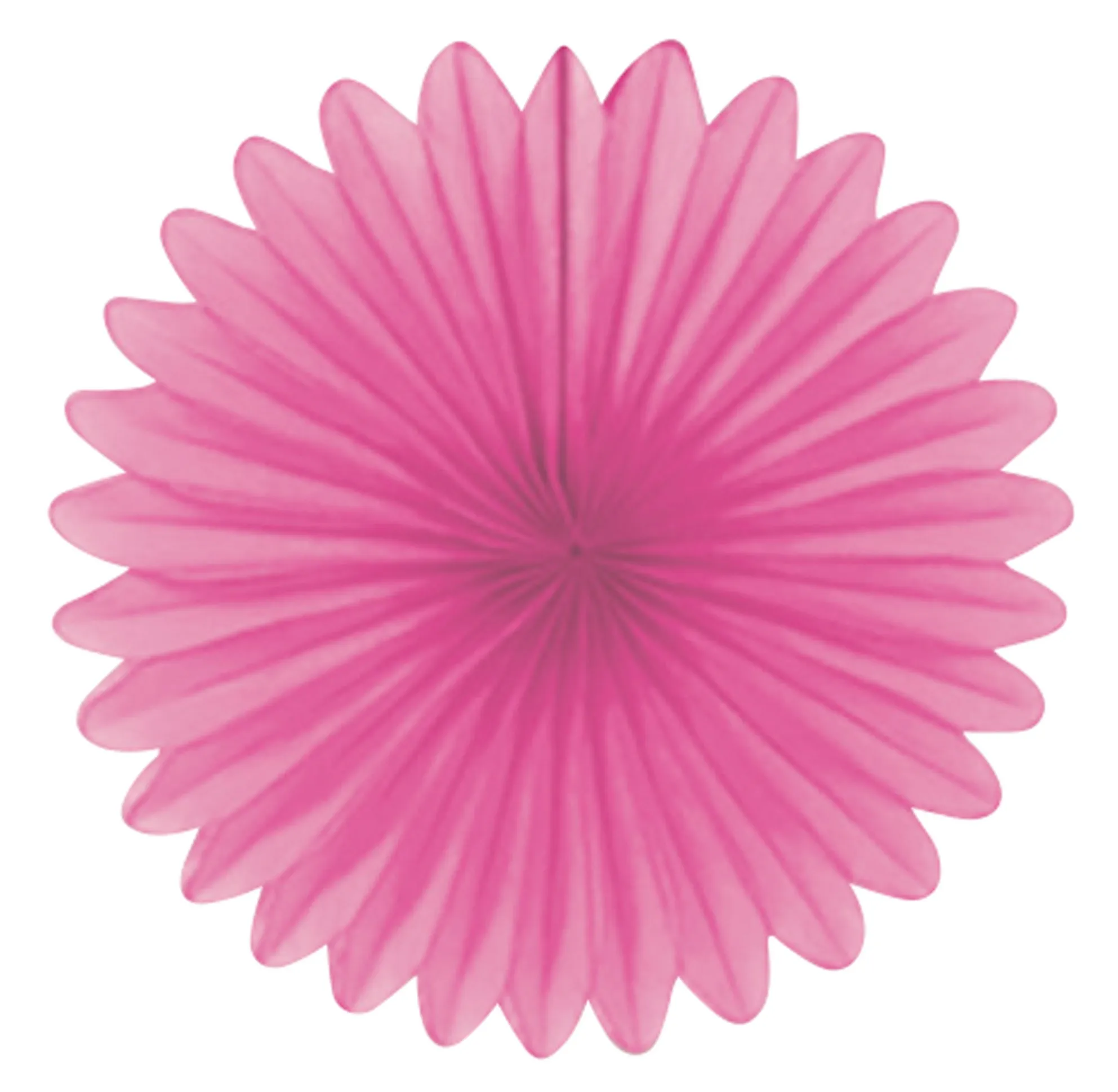 5 vassoi carta Pinky Paris 15,2 cm