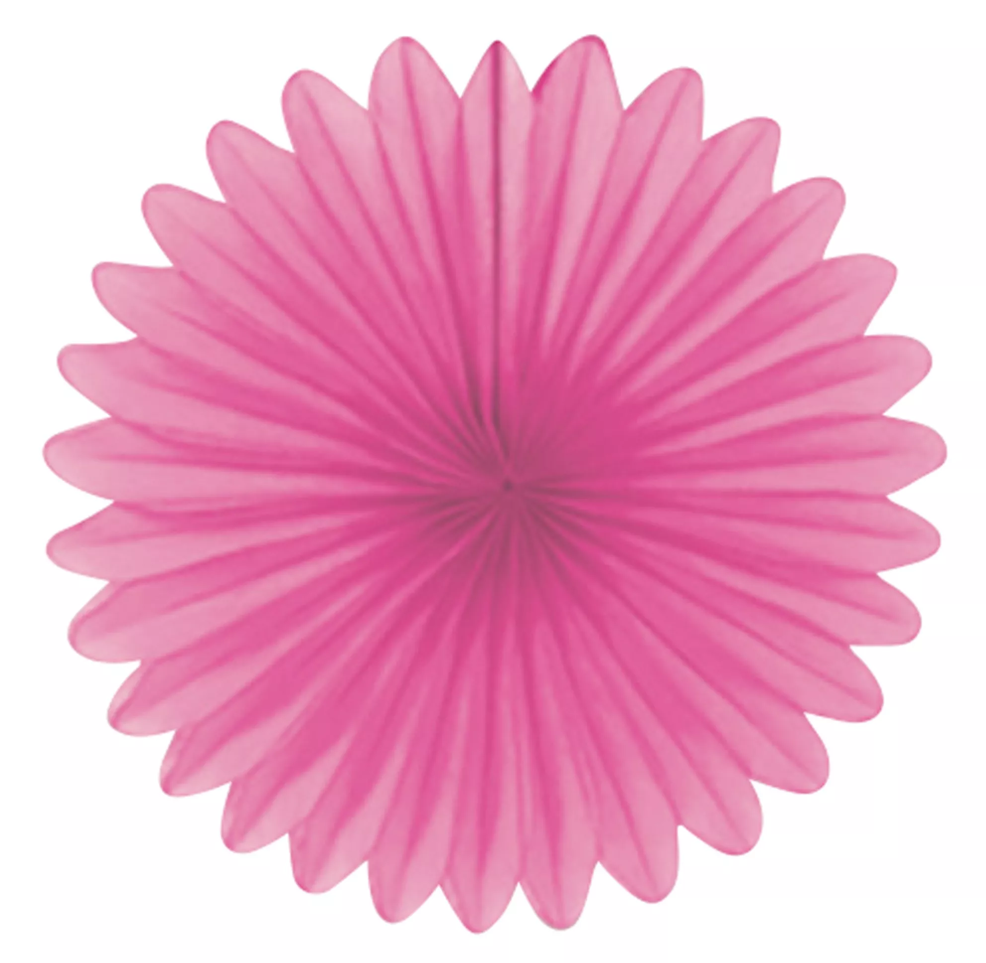 5 vassoi carta Pinky Paris 15,2 cm